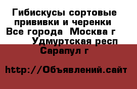 Гибискусы сортовые, прививки и черенки - Все города, Москва г.  »    . Удмуртская респ.,Сарапул г.